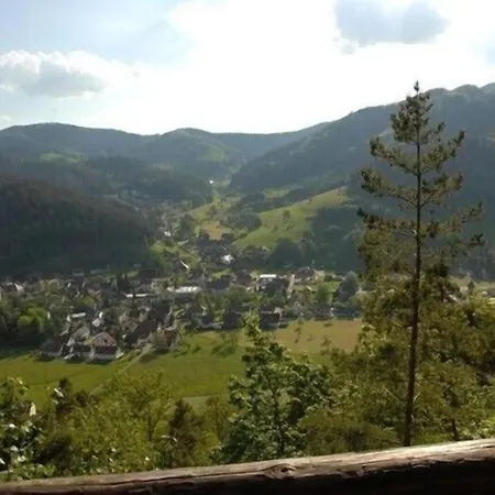 Oberbauernhof - Stuebleberg -- Moderne Im Schoenen Schwarzwaldhaus * Gutach