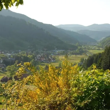 Apartamento Oberbauernhof - Stübleberg -- Moderne Im Schönen Schwarzwaldhaus *