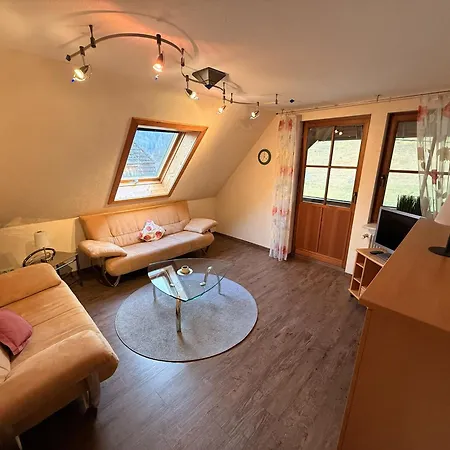 Oberbauernhof - Stuebleberg -- Moderne Im Schoenen Schwarzwaldhaus Gutach