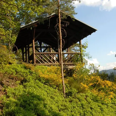 Oberbauernhof - Stuebleberg -- Moderne Im Schoenen Schwarzwaldhaus Appartement *