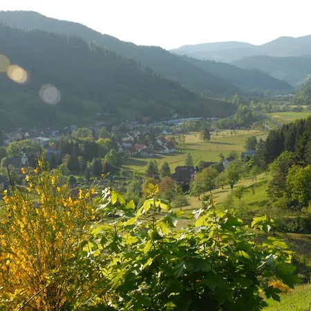 Appartement Oberbauernhof - Stuebleberg -- Moderne Im Schoenen Schwarzwaldhaus *