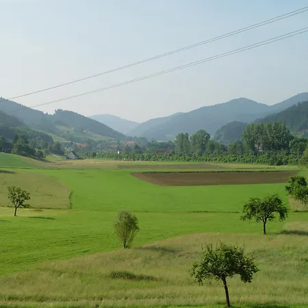 Appartement Oberbauernhof - Stuebleberg -- Moderne Im Schoenen Schwarzwaldhaus Gutach