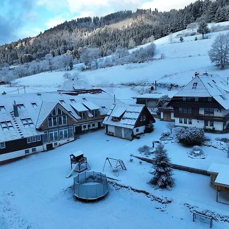 Oberbauernhof - Stuebleberg -- Moderne Im Schoenen Schwarzwaldhaus Appartement Gutach